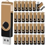 EASTBULL 1GB USB Flash Drive Bulk Thumb Drives 100 Pack with Lanyards USB 2.0 Jump Drive 1GB Memory Sticks Zip Drive Pen Drive for Storage and Backup Gold 100PCS 1GB