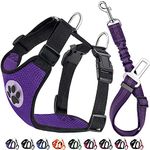 Lukovee Dog Seat Belt for Car, Adjustable Dog Car Harness for Large Medium Small Dogs, Soft Padded & Breathable Mesh Dog Seatbelt with Car Vehicle Connector Strap (Purple,Large)