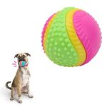 SPOT Sensory Ball - Dog Toy Stimulates All 5 Senses, Made from Durable TPR Rubber with Bell, Raised Nubs to Clean Teeth, High Contrast Colors, Beef Scented & Flavored - 2.5 inch