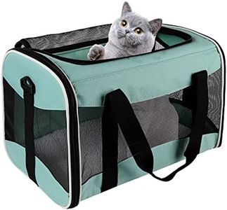 Cat Carryi