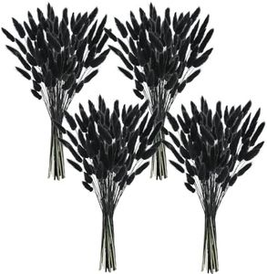 Phliofd 480 Pcs Bunny Tails Dried Flowers, Natural Dried Bunny Tails Grass Dried Lagurus Ovatus Rabbit Tail Grass for Flowers Arrangements DIY Craft Wedding Party Home Table Decor (Black)