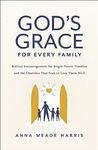 God's Grace for Every Family: Biblical Encouragement for Single-Parent Families and the Churches That Seek to Love Them Well