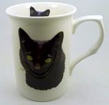 The Plate Collectors Shop BLACK CAT FINE BONE CHINA 10 0Z MUG ~ HAND DECORATED IN STOKE ON TRENT