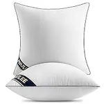 MIULEE 18x18 Pillow Inserts Set of 