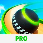 Action Race - Pro