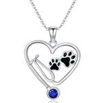 MEIDERBO Birthstone Veterinary Stethoscope Necklace 925 Sterling Silver Nurse Vet Pendant with Dog Paw Nurse Jewelry Gifts for Veterinarian Nurse Women Veterinarian Gifts, Sterling Silver, Cubic