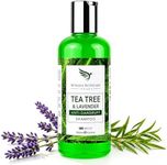 Tea Tree Anti-Dandruff Shampoo - For Dry Itchy Flaky Scalp and Dandruff