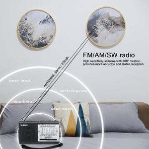 XHDATA D219 Portable AM/FM Radio – Compact, Grey