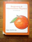 Beginning & Intermediate Algebra