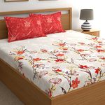 Dreamscape 100% Cotton King Fitted Bedsheet with 2 Pillow Covers - (Size 72 x 78 inches, 144 TC, Colour - Tomato)