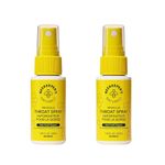 BEEKEEPER'S NATURALS Propolis Throat Spray - 85mg Bee Propolis Extract - Natural Immune Support, Sore Throat Relief & Antioxodant Support - Antioxidants, Keto, Paleo, Gluten-Free 1.06 oz (Pack of 2)