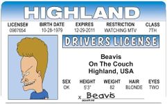 Signs 4 Fun Parody Driver’s License | WY - Beavis ID | Fake ID Novelty Card | Collectible Trading Card Driver’s License | Novelty Gift for Holidays | Made in The USA