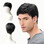 EUPSIIU Short Black Mens Wig Costume Wigs for Men Synthetic Mens Wigs for Daily Use Costume Wigs Straight Wig for Men Fancy Dress Cosplay Halloween Handsome Men's Daily Costume (Black)