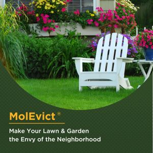 Baar MolEvict Mole Repellent 32oz – Outdoor Lawn Treatment