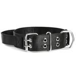 TRUE DAWG Tactical Dog Collar For Large Adult Dogs, Military Training Nylon Dog Belt With Easy Control Handle (X-Large),72 cm,W_3.8 cm,Black