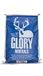 Rack Stacker Glory Mineral 55lb for Big Game Animals (Does 5 Locations for a Year)