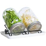 Seed Sprouting Jar Kit (Without Seeds)- 2Pcs Sprouter Mason Jars with Screen Lids, Drip Stray, Stand, Sprouts Growing Kit for Kitchen Growing Alfalfa, Broccoli, Mung Bean