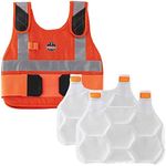 Cooling Vest with 2 Ice Packs, Flam
