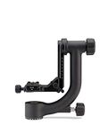 Benro GH2 Gimbal Head (Black)