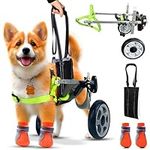 Small Dog Wheelchair for Back Legs,