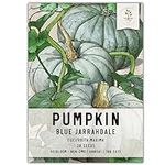 Seed Needs, Blue Jarrahdale Pumpkin