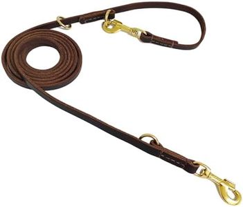 DOG CARE Hands Free Dog Leash, Multifunctional Dog Leash, 8ft Brown Leather Leash for Medium & Small Dogs