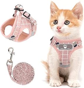 Cat Vest Harness and Small Dog Vest Harness for Walking, All Weather Mesh Harness, Cat Vest Harness with Reflective Strap, Step in Adjustable Harness for Small Cats (Pink-Pattern)