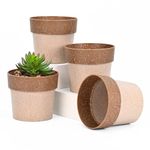 Eha Earth Friendly Ecopod Small Pots for Plant | 4 Inch, Pack of 4 | Table Top Planters | Bamboo Based and UV Protected | Pots for Indoor Plants for Home Decor, Outdoor, Balcony & Garden | Tortilla