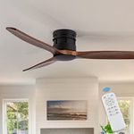 Fanimation Ceiling Fans Without A Lights