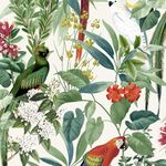 World of Wallpaper Ikala Tropical Birds Parrots Wallpaper Ideal for Bedrooms, Lounges, Dining Rooms and Hallways