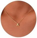 Fwlisesa Initial Necklaces for Women, Dainty Gold Letter Necklace 14k Gold Plated Personalized Tiny Initial Pendant Necklace Monogram Cute Letter Name Choker Necklaces for Teen Women Simple Jewelry