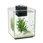 Fluval Chi II Aquarium Set, 5-Gallon