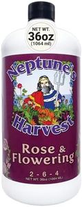 Neptune's