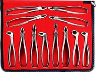 Waldent Wal-Extract Extraction Instruments Forceps Kit Set of 12 (K1/1)