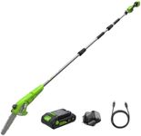 Greenworks 24V 8in Cordless Pole Saw, 2.68m Long Reach Pole Pruner for Tree Pruning, 20cm Electric Mini Chainsaw with Auto-Oiler, 6.7m/s Chain Speed with 2Ah Battery and 30W USB C Charger