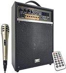 EMB 300 Watt Guitar Amplifier with 