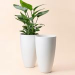 Rukonza Pack Of 2 Fiber Tower Planter - 14 Inch Tall Fiber Tower Pot, Durable, Lightweight Planter For Home Office Garden Balcony Plant (Pack Of 2 Pot), White