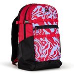 OGIO Alpha Backpack (20L, Melting Geos)