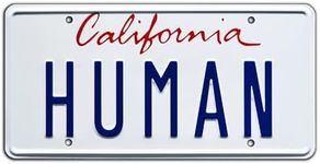 Daft Punk | Electroma | HUMAN | Metal Stamped License Plate