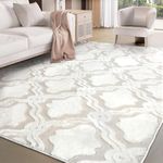 MARLOW Fluffy Floor Rugs, Faux Rabb