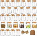 BELLE VOUS 30 Pack 210ml/7oz Glass Favour Jar Set with Cork Lids, Label Tags and Twine - Mini Square Mason Airtight Storage Bottles and Labels for Wedding Favours, Party, Kitchen Spices and Jam