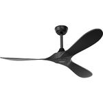 Outdoor Ceiling Fans