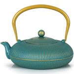 Jotsport Cast Iron Teapot with Infuser for Stovetop Japanese Style Loose Leaf Tea Kettle 40oz/1200ml