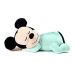 Disney Toys For Newborns