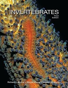 Invertebra