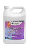 Dicor CP-EWC-1GL Exterior WASH Concentrate 1 Gallon, white