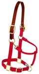 Weaver Leather Nylon Adjustable Breakaway Horse Halter, Small, Red