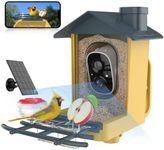 oddkont Bird Feeder with Camera - S