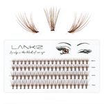 LANKIZ Brown Individual Lashes, 20D Colored Cluster Lashes for DIY Eyelash Extension, 0.07mm 8-14mm Mix Faux Mink False Lash Extensions for Home & Salon Use