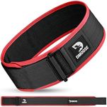 DMoose Auto Locking belt gym, Provides Lumbar Support & Stability, 4" Nylon weitht lifting belt with Adjustable Buckle, large weight lifting belt